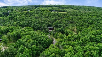 Experience the beauty of the Finger Lakes from this exceptional - photo 50