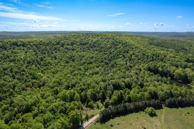Over 25 acres of mostly flat land in a very low-traffic, quiet - photo 2