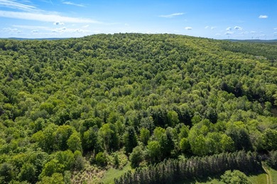 Over 25 acres of mostly flat land in a very low-traffic, quiet - photo 3