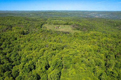 Over 25 acres of mostly flat land in a very low-traffic, quiet - photo 4
