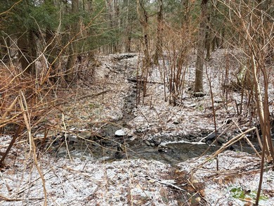Over 25 acres of mostly flat land in a very low-traffic, quiet - photo 7