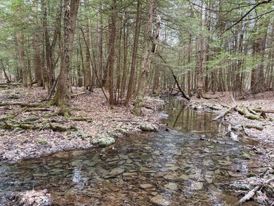 Over 25 acres of mostly flat land in a very low-traffic, quiet - photo 8