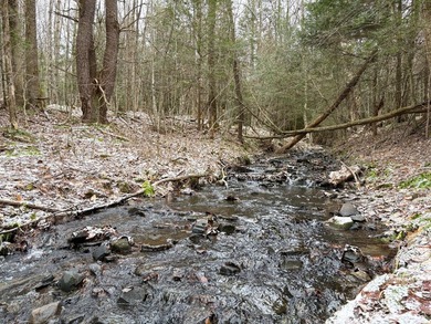 Over 25 acres of mostly flat land in a very low-traffic, quiet - photo 9