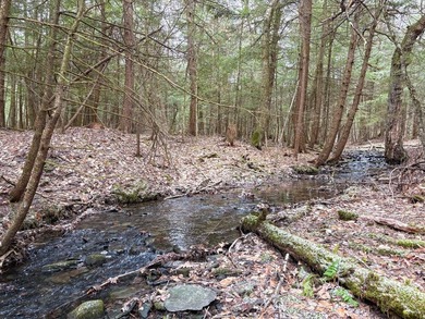 Over 25 acres of mostly flat land in a very low-traffic, quiet - photo 10