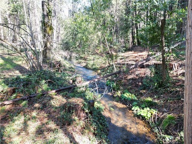 Paradise Lake Lot For Sale in Magalia California