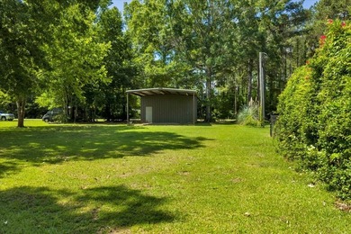 Build your Dream Getaway on Beautiful Lake Blackshear with this - photo 11