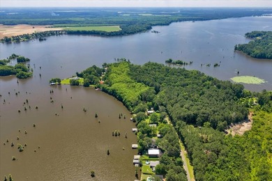 Build your Dream Getaway on Beautiful Lake Blackshear with this - photo 15