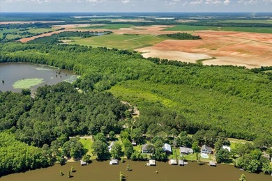 Build your Dream Getaway on Beautiful Lake Blackshear with this - photo 18