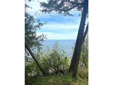 Encompassing roughly 250 feet of Green Bay waterfront about a - photo 19