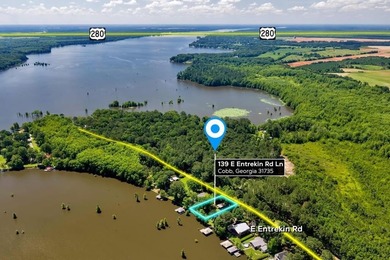 Build your Dream Getaway on Beautiful Lake Blackshear with this - photo 22