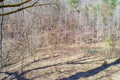 Clinch River - Hancock County Acreage For Sale in Sneedville Tennessee