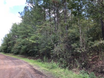 10 acre tract located between Sam Rayburn and Toledo Bend Lake.  - Lake Acreage Sale Pending in Bronson, Texas