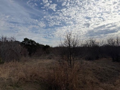 Four acre lot with a wet weather creek passing through a part of - photo 11