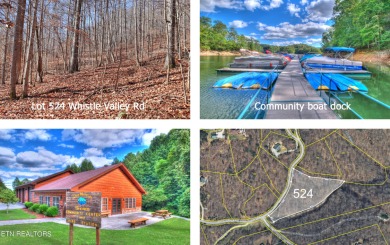 Lake Acreage For Sale in New Tazewell, Tennessee