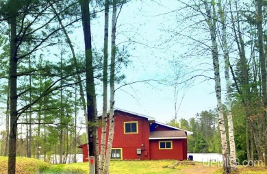 Lake Home For Sale in Gwinn, Michigan