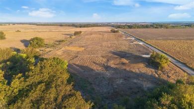 Lake Acreage For Sale in Ennis, Texas