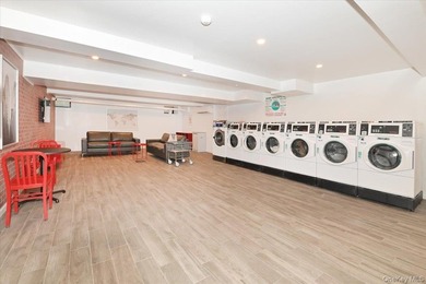 GREAT NECK PLAZA - Welcome to THE WINDSOR @ 21 Barstow Road // - photo 22