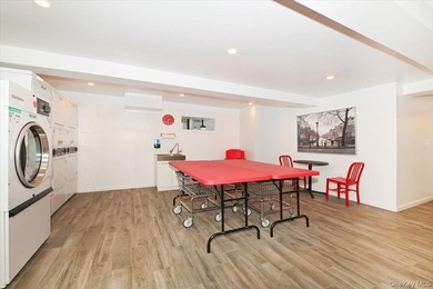 GREAT NECK PLAZA - Welcome to THE WINDSOR @ 21 Barstow Road // - photo 23