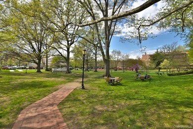 GREAT NECK PLAZA - Welcome to THE WINDSOR @ 21 Barstow Road // - photo 26