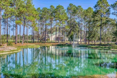 (private lake, pond, coastal) Home For Sale in Laurel Hill Florida