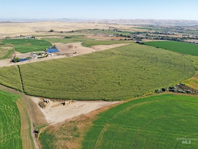 This 447+/- acre highly functional farm near Vale is a - photo 3
