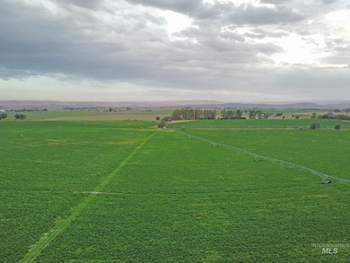 This 447+/- acre highly functional farm near Vale is a - photo 6
