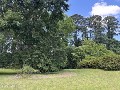 This house sits on .62 acre beautiful lot. Good size carport - photo 5