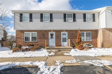 (private lake, pond, creek) Condo For Sale in Brunswick Ohio