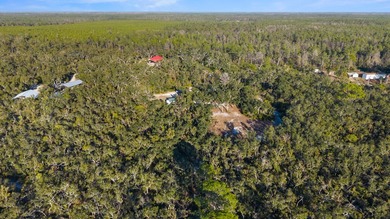 Featuring two spacious pole barns situated on concrete pads - photo 15