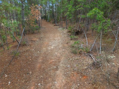 Rare opportunity to own 14.73 acres with approximately 325 feet - photo 17
