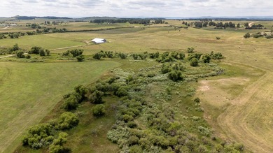Presenting A Bar Ranch in Douglas County Colorado, a front range - photo 19