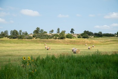 Presenting A Bar Ranch in Douglas County Colorado, a front range - photo 20