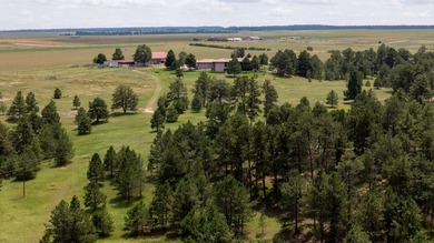 Presenting A Bar Ranch in Douglas County Colorado, a front range - photo 21