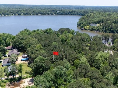 Build your dream home on this beautiful lot in Northport, just - photo 1