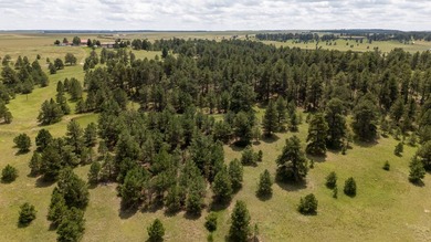 Presenting A Bar Ranch in Douglas County Colorado, a front range - photo 22