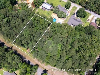 Build your dream home on this beautiful lot in Northport, just - photo 3