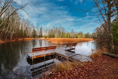 Escape to the ultimate log home sanctuary on nearly 75 pristine - photo 25
