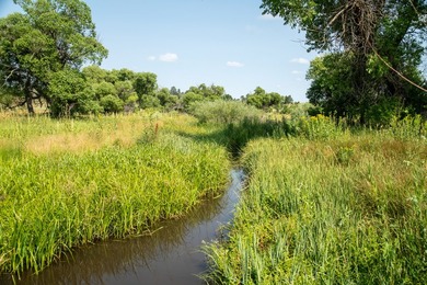 Presenting A Bar Ranch in Douglas County Colorado, a front range - photo 25
