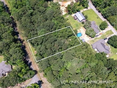 Build your dream home on this beautiful lot in Northport, just - photo 5