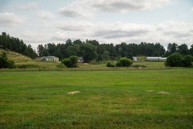 Presenting A Bar Ranch in Douglas County Colorado, a front range - photo 26