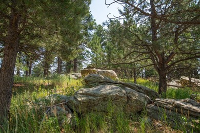 Presenting A Bar Ranch in Douglas County Colorado, a front range - photo 27
