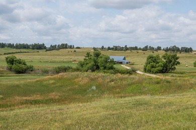 Presenting A Bar Ranch in Douglas County Colorado, a front range - photo 28
