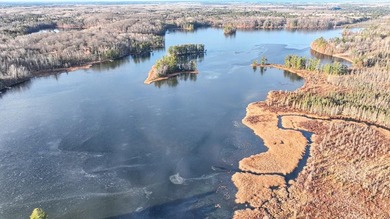 Escape to the ultimate log home sanctuary on nearly 75 pristine - photo 29