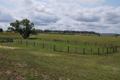 Presenting A Bar Ranch in Douglas County Colorado, a front range - photo 29