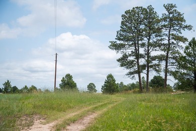 Presenting A Bar Ranch in Douglas County Colorado, a front range - photo 35