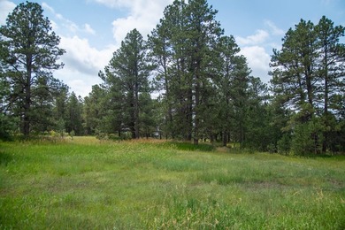Presenting A Bar Ranch in Douglas County Colorado, a front range - photo 36