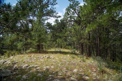 Presenting A Bar Ranch in Douglas County Colorado, a front range - photo 37