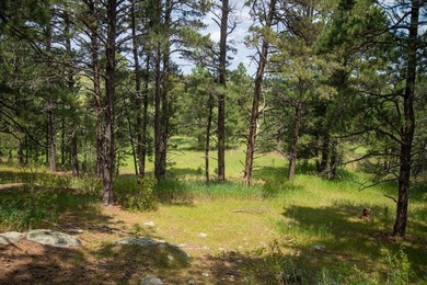 Presenting A Bar Ranch in Douglas County Colorado, a front range - photo 39