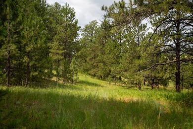 Presenting A Bar Ranch in Douglas County Colorado, a front range - photo 41