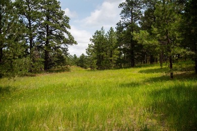Presenting A Bar Ranch in Douglas County Colorado, a front range - photo 42